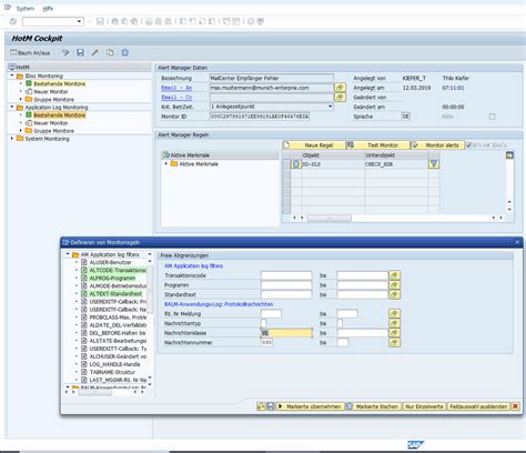 Login Process for SAP Applications .